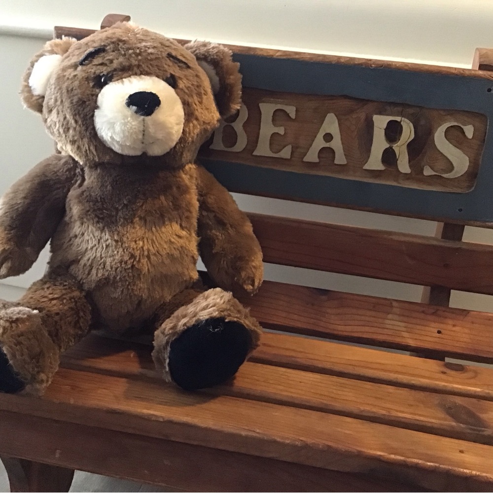 2011 Bearemy Mascot Build-A-Bear.  Bearemy’s KennelnPals Collection